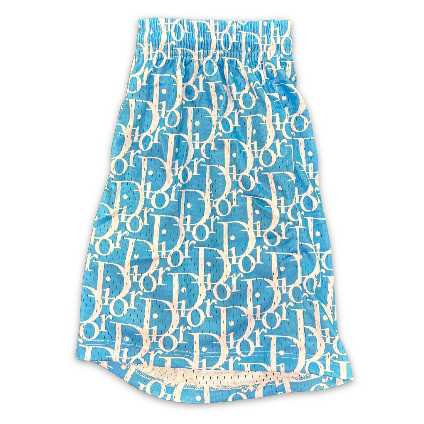 Light Blue Dior Shorts